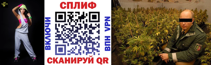 Конопля конопля  Урень 